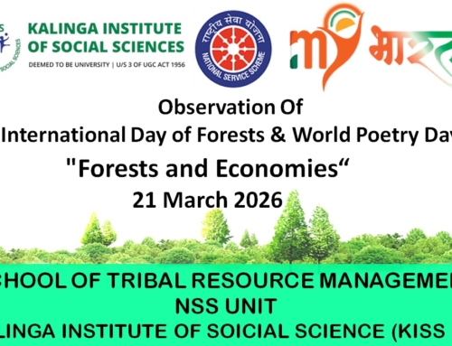 KISS-DU Observed International Forest Day